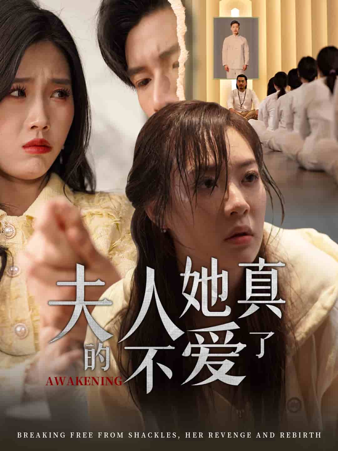 夫人她真的不愛(ài)了